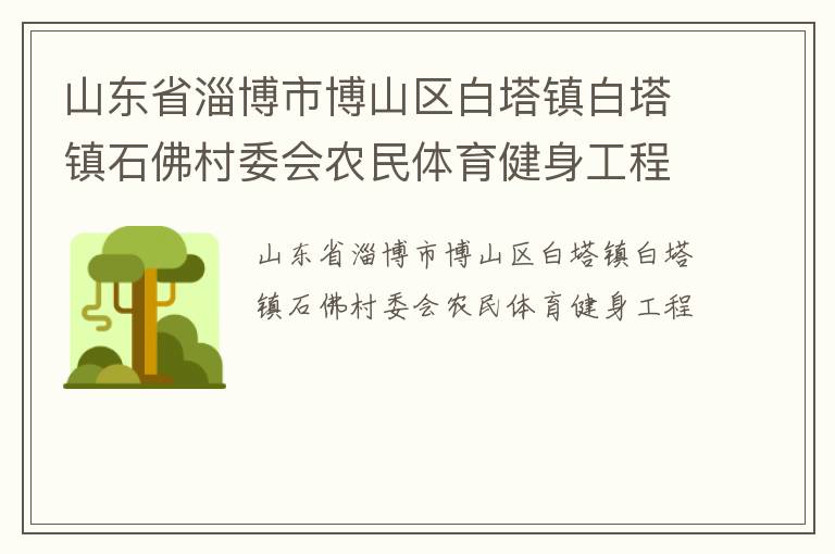 山東省淄博市博山區(qū)白塔鎮(zhèn)白塔鎮(zhèn)石佛村委會農民體育健身工程