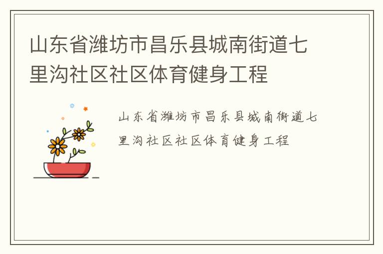 山東省濰坊市昌樂縣城南街道七里溝社區(qū)社區(qū)體育健身工程