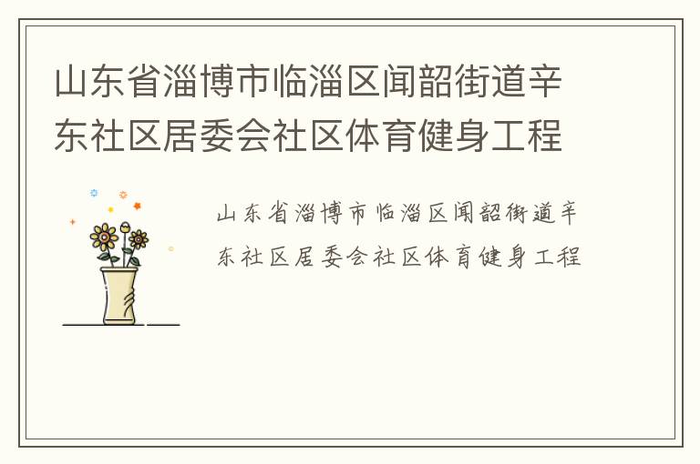 山東省淄博市臨淄區(qū)聞韶街道辛東社區(qū)居委會社區(qū)體育健身工程