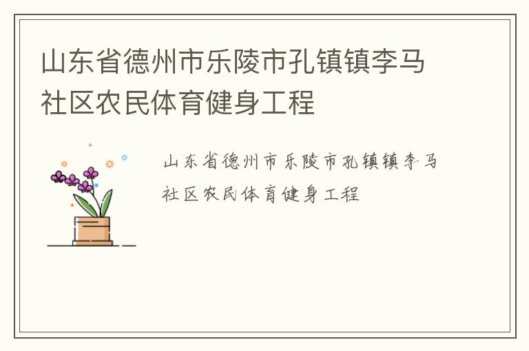 山東省德州市樂陵市孔鎮(zhèn)鎮(zhèn)李馬社區(qū)農民體育健身工程