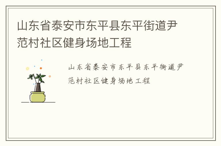 山東省泰安市東平縣東平街道尹范村社區(qū)健身場地工程