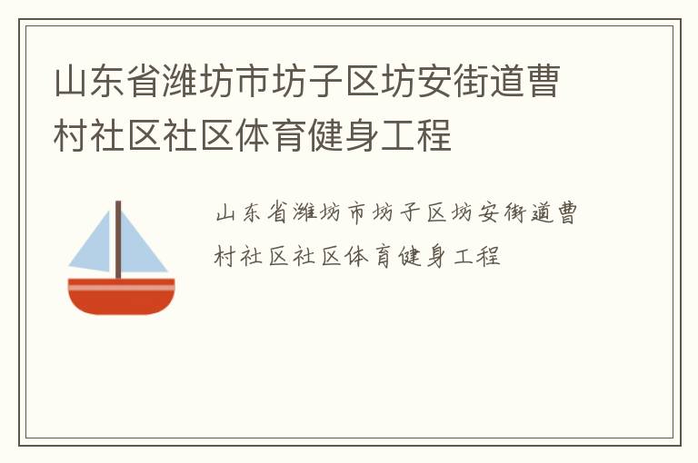 山東省濰坊市坊子區(qū)坊安街道曹村社區(qū)社區(qū)體育健身工程