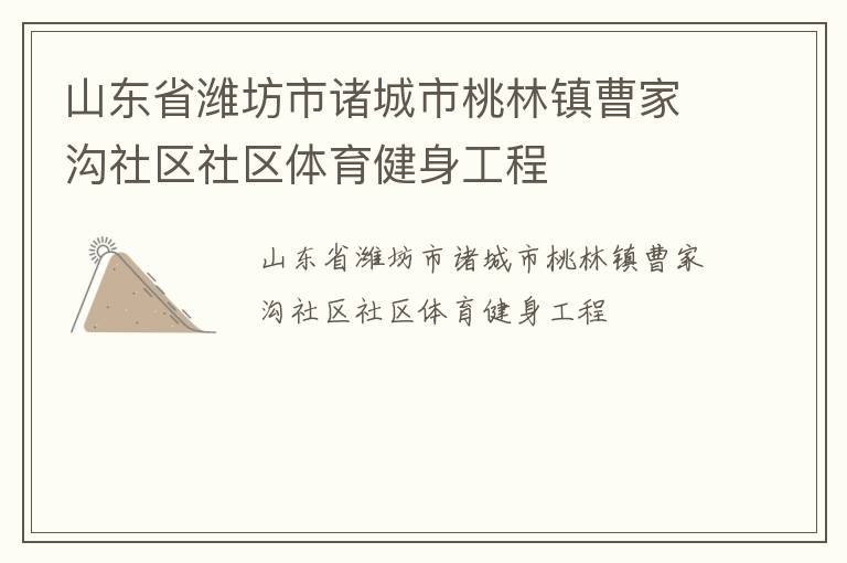 山東省濰坊市諸城市桃林鎮(zhèn)曹家溝社區(qū)社區(qū)體育健身工程