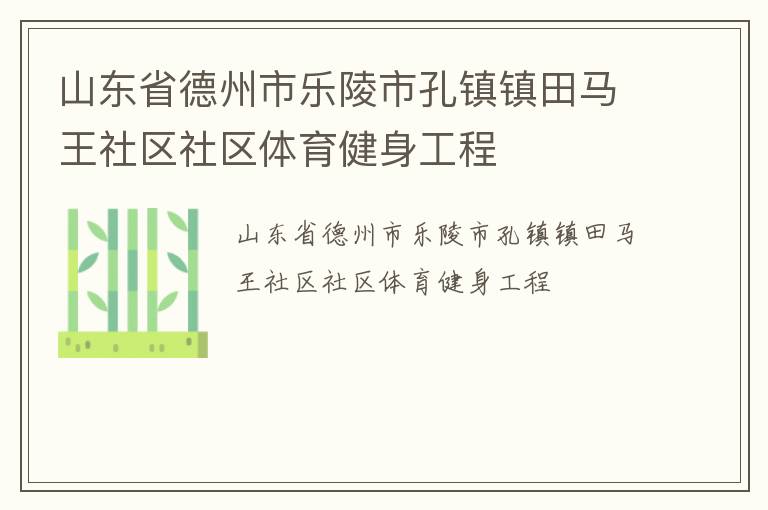 山東省德州市樂陵市孔鎮(zhèn)鎮(zhèn)田馬王社區(qū)社區(qū)體育健身工程