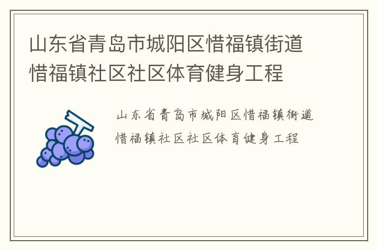 山東省青島市城陽(yáng)區(qū)惜福鎮(zhèn)街道惜福鎮(zhèn)社區(qū)社區(qū)體育健身工程