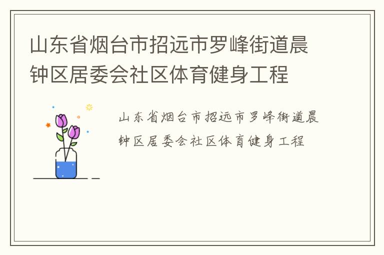 山東省煙臺市招遠(yuǎn)市羅峰街道晨鐘區(qū)居委會社區(qū)體育健身工程