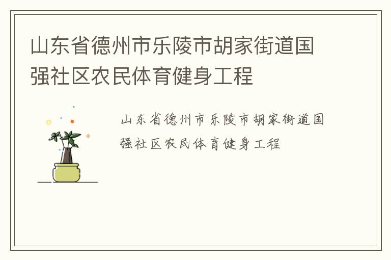 山東省德州市樂陵市胡家街道國強(qiáng)社區(qū)農(nóng)民體育健身工程
