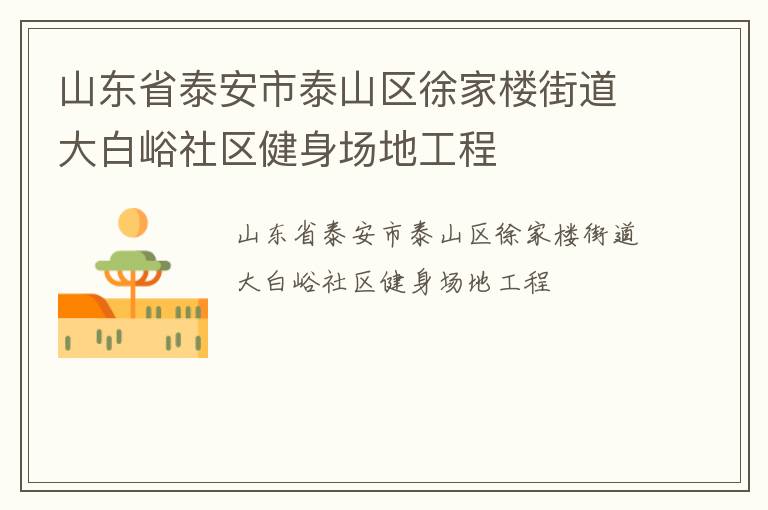 山東省泰安市泰山區(qū)徐家樓街道大白峪社區(qū)健身場地工程