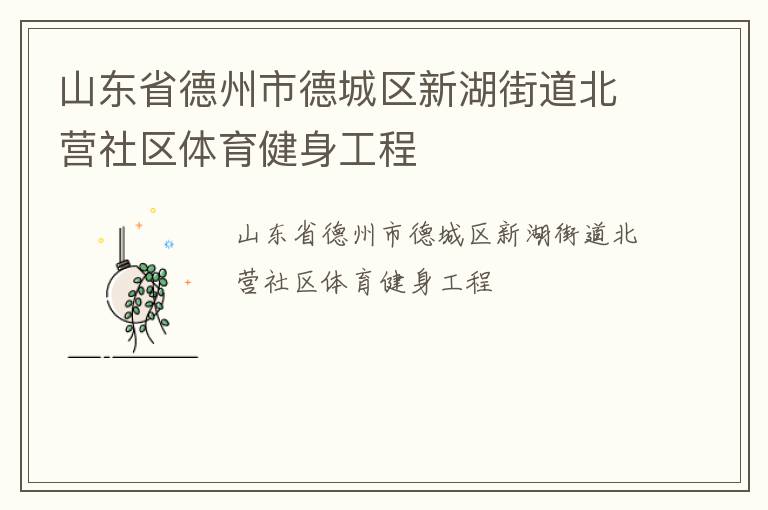 山東省德州市德城區(qū)新湖街道北營社區(qū)體育健身工程