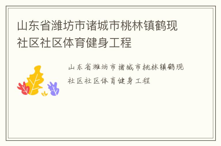 山東省濰坊市諸城市桃林鎮(zhèn)鶴現(xiàn)社區(qū)社區(qū)體育健身工程