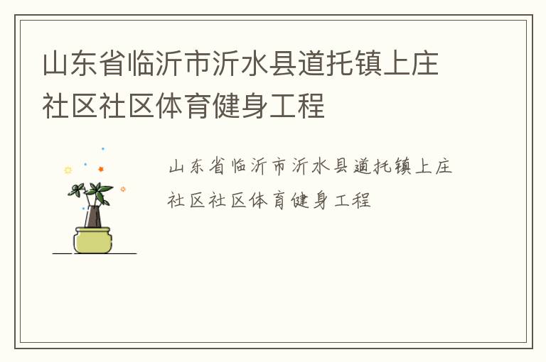 山東省臨沂市沂水縣道托鎮(zhèn)上莊社區(qū)社區(qū)體育健身工程