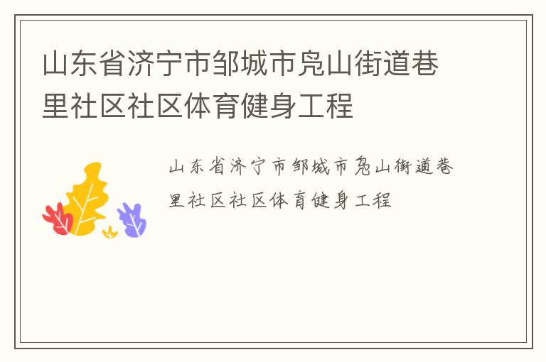 山東省濟(jì)寧市鄒城市鳧山街道巷里社區(qū)社區(qū)體育健身工程