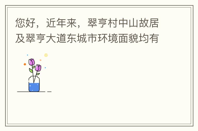 您好，近年來(lái)，翠亨村中山故居及翠亨大道東城市環(huán)境面貌均有所提升。但周邊環(huán)境仍然不夠理想，稍顯臟亂差，與5A風(fēng)景區(qū)的定位不相協(xié)調(diào)，望繼續(xù)盡快改善為宜。多謝