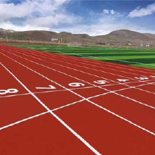 河北財偉生產塑膠跑道 透氣型塑膠跑道 混合型塑膠跑道 歡迎來電咨詢采購