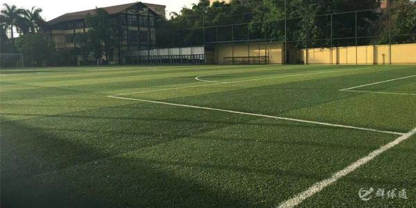 欖核鎮(zhèn)社區(qū)足球場