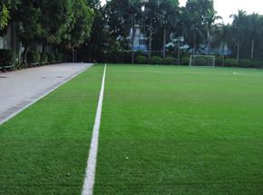 魚(yú)窩頭體育文化廣場(chǎng)足球場(chǎng)