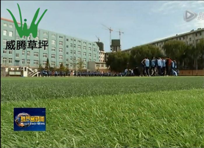 楊利偉高中人造草坪足球場(chǎng)