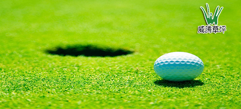 人造果嶺高爾夫球場