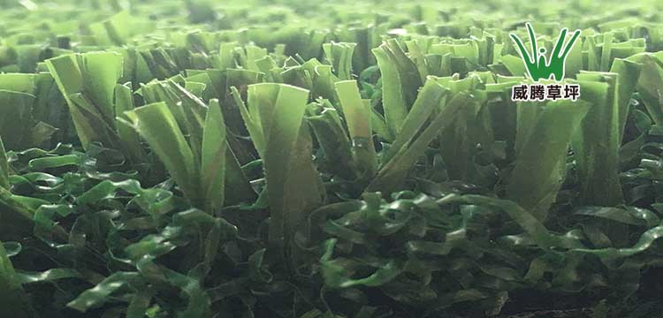 免填充足球場草坪