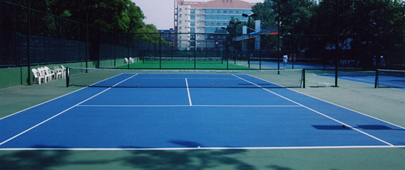 <a href=http://m.rkkor.cn target=_blank class=infotextkey>丙烯酸</a>球場廠家