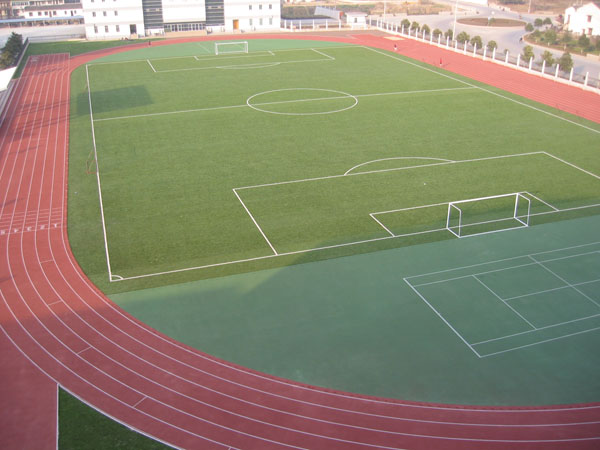 廣東實(shí)力體育