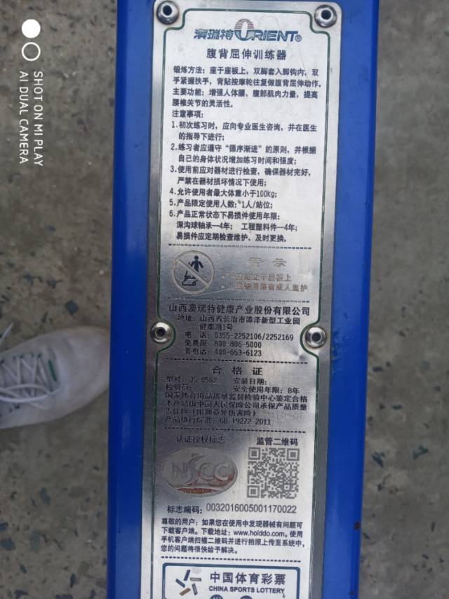 腹背屈伸訓練器