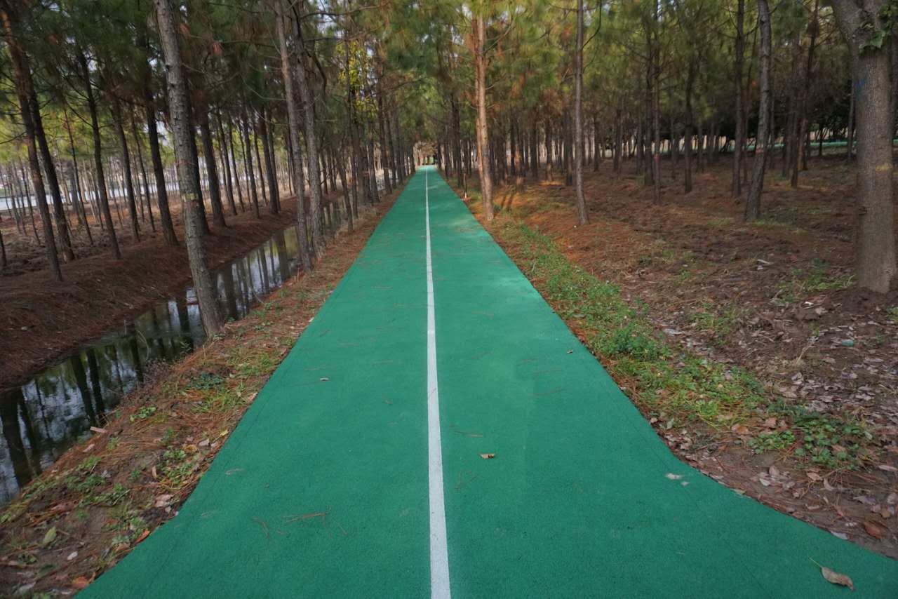 聯(lián)益村健身步道