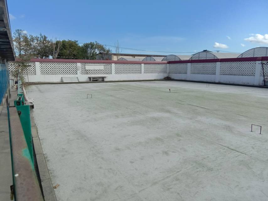 森林村森塘路21號(hào)門球場(chǎng)