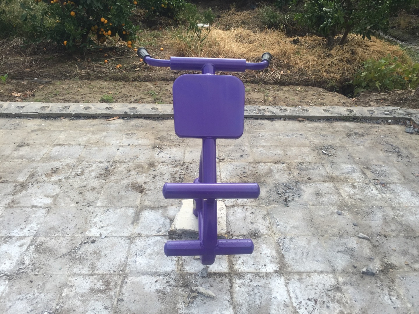 背肌訓(xùn)練器