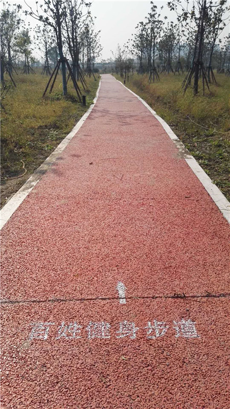 長(zhǎng)興生態(tài)廊道G40大轉(zhuǎn)盤健身步道