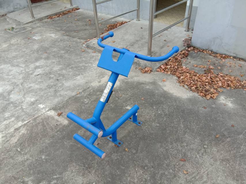 背肌訓(xùn)練器