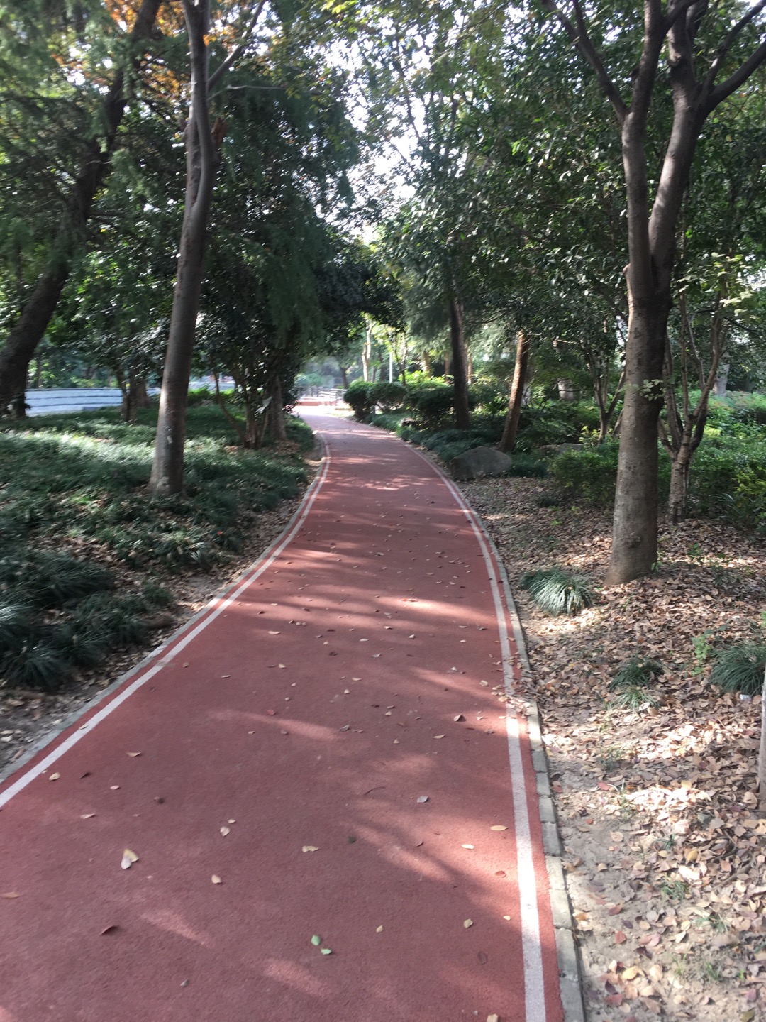 祥和星宇二期健身步道二