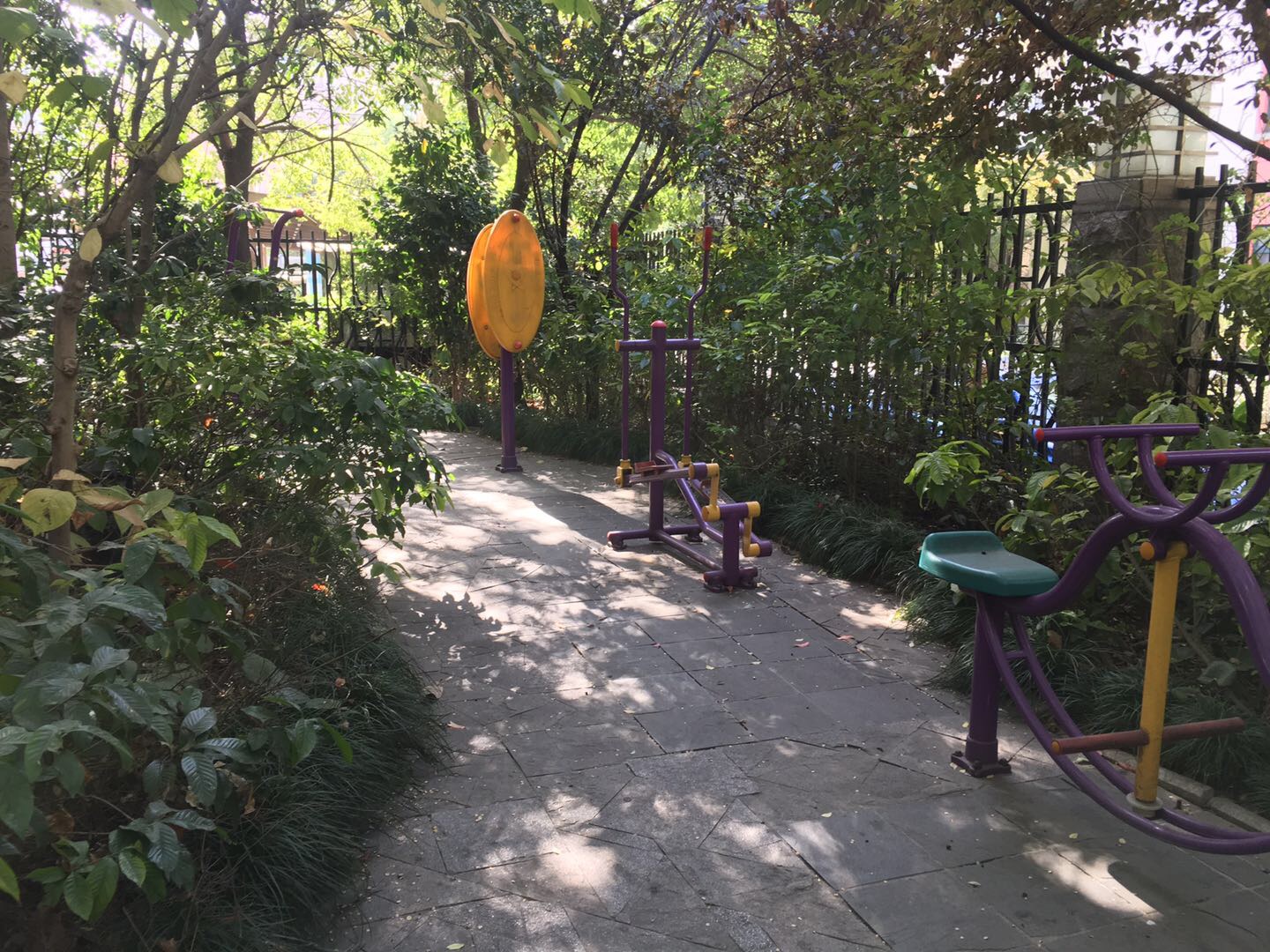 國際公寓健身苑點