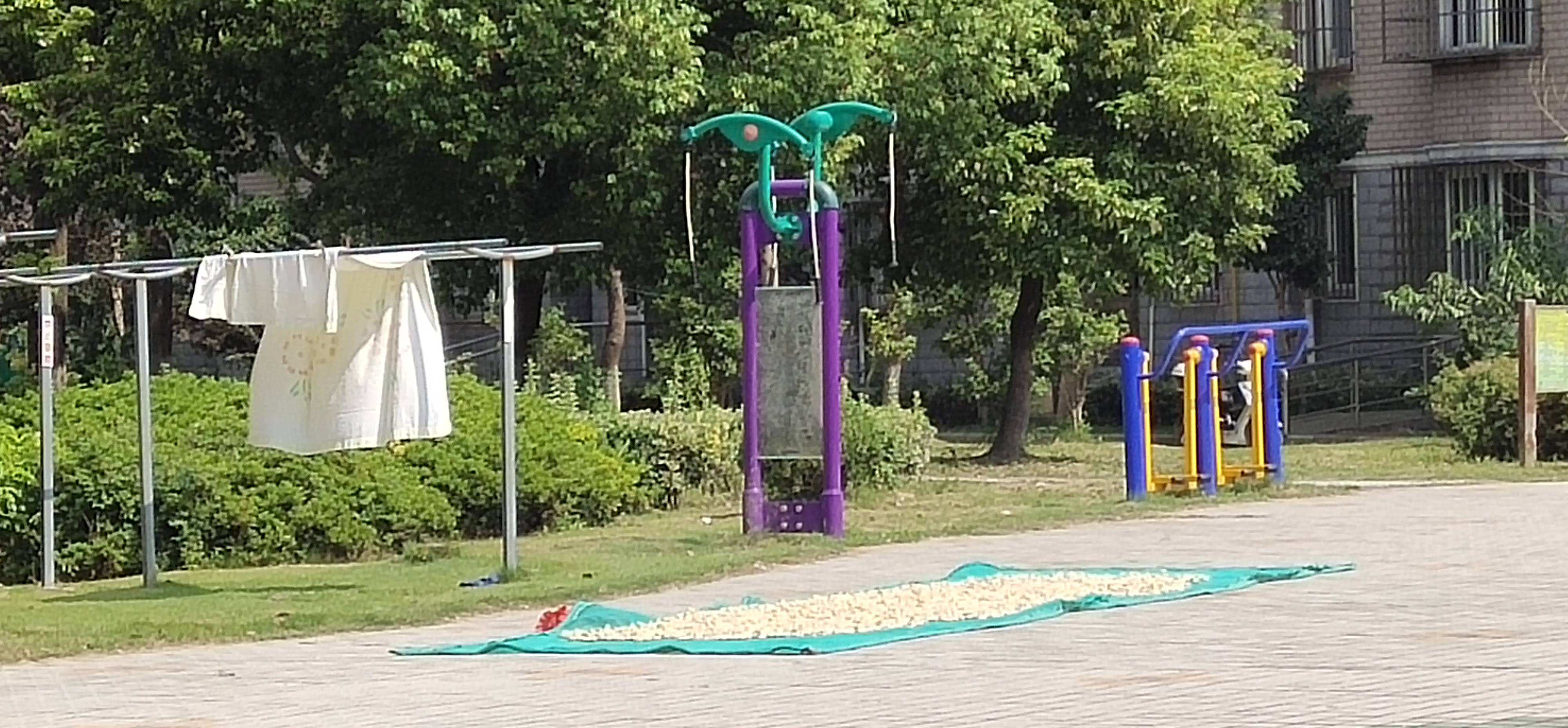 雙位上肢牽引器