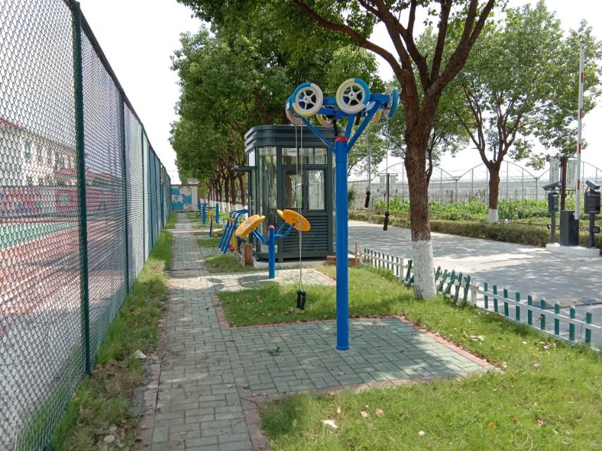 胡家埭村籃球場健身點