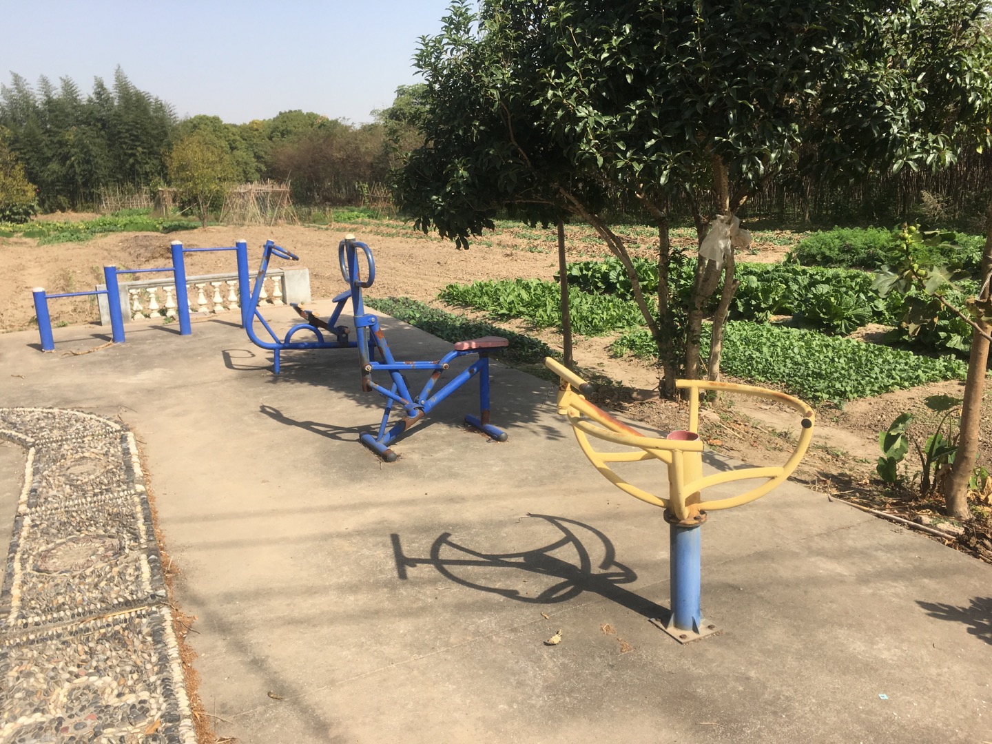 老港鎮(zhèn)牛肚村民委員會(huì)20組健身苑點(diǎn)