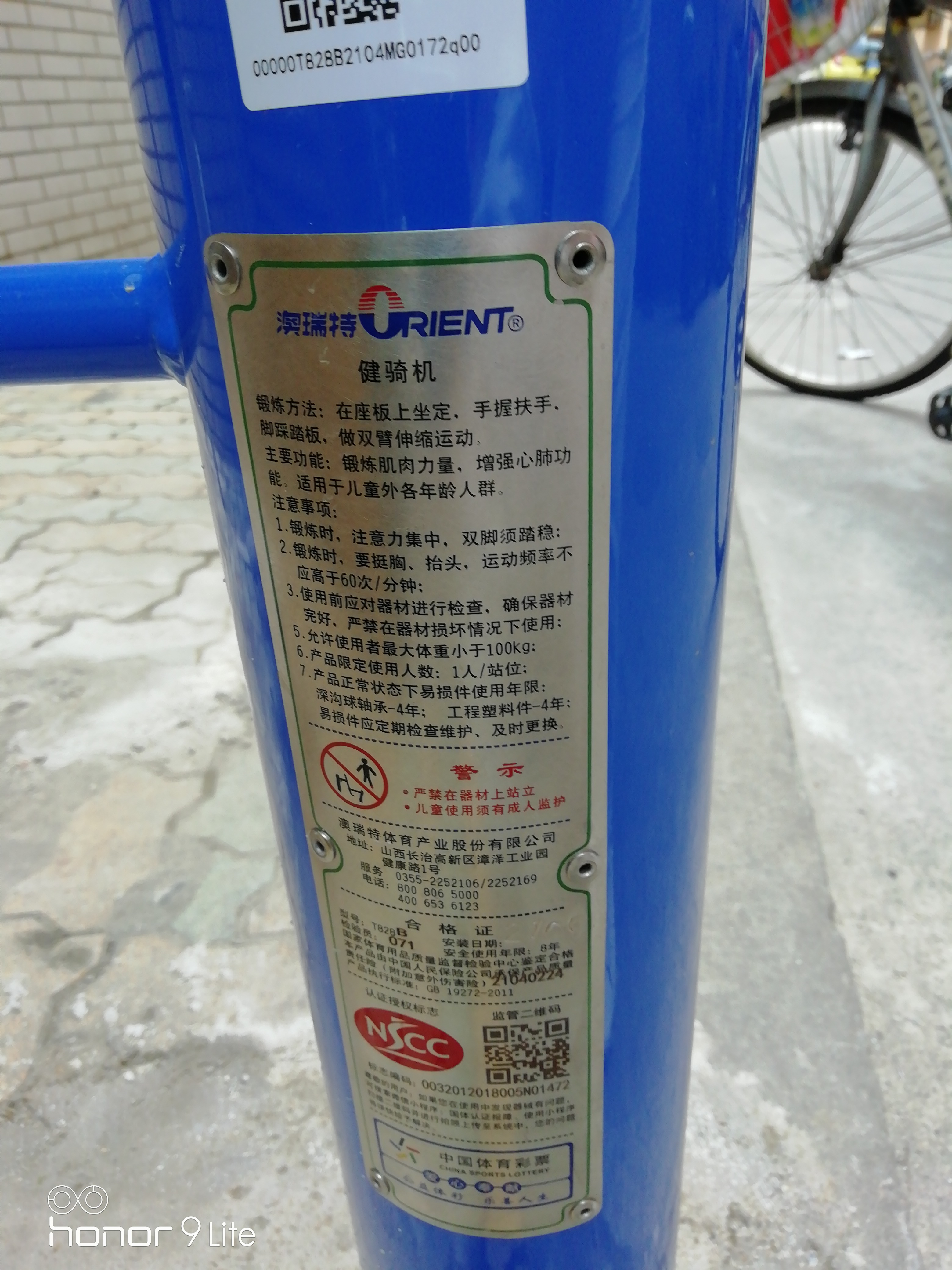 腰力訓(xùn)練器