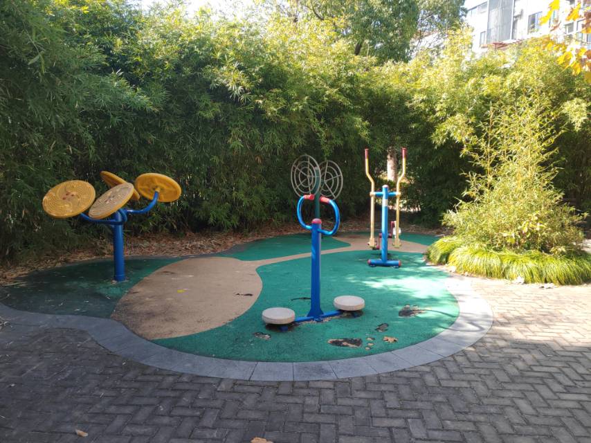 高行鎮(zhèn)森蘭金地居委健身苑點1