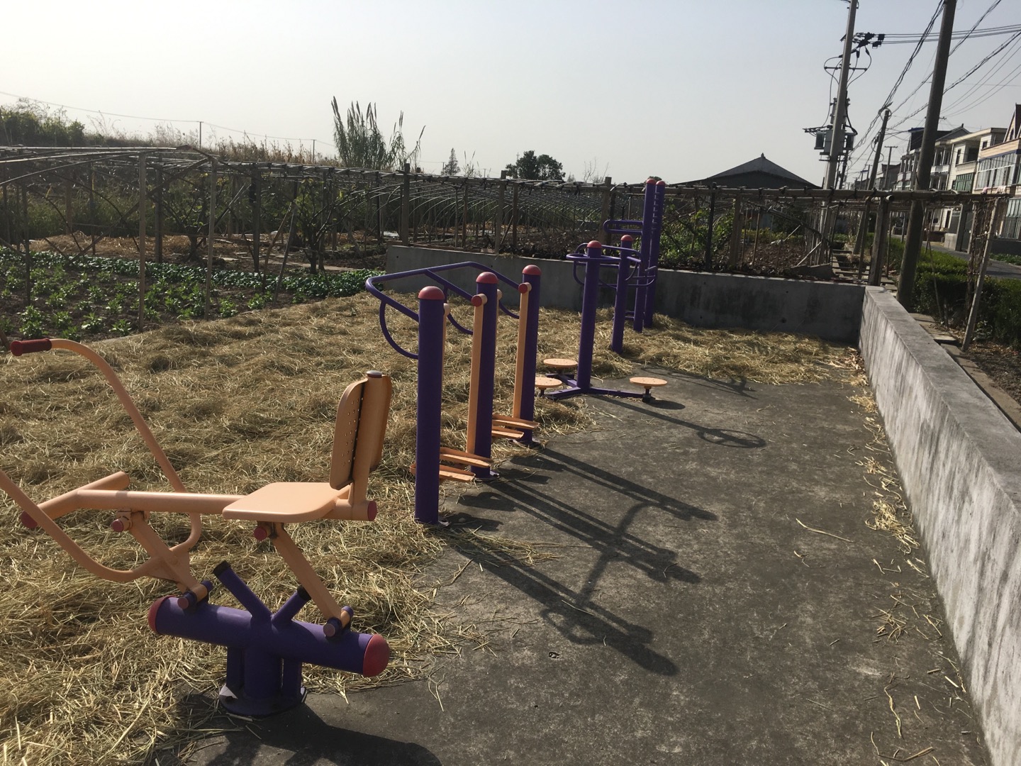 東河村港東15組健身苑點