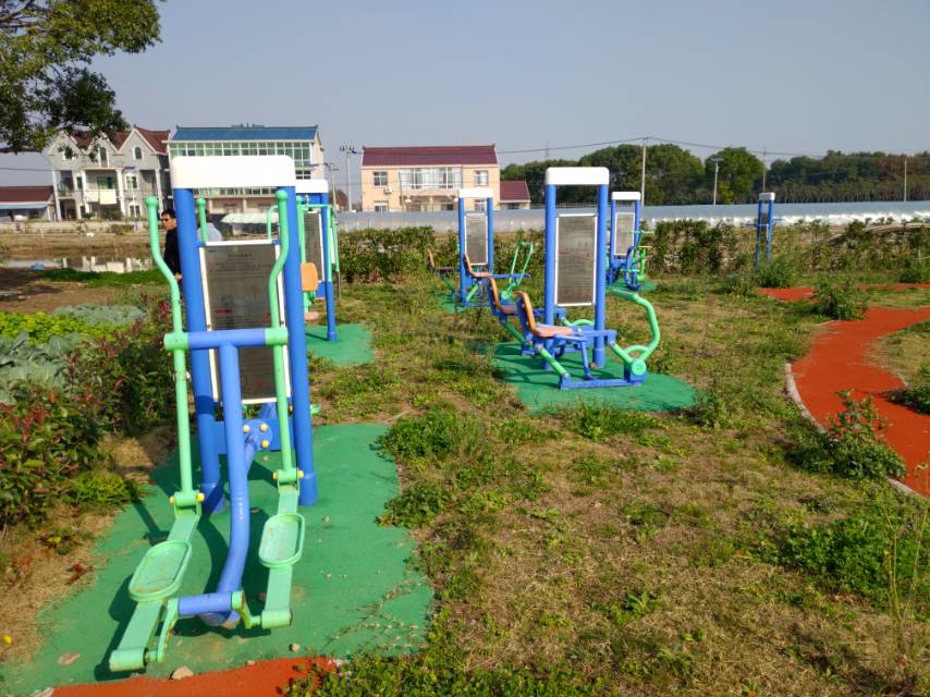 洼港村三組黨建微公園健身點(diǎn)