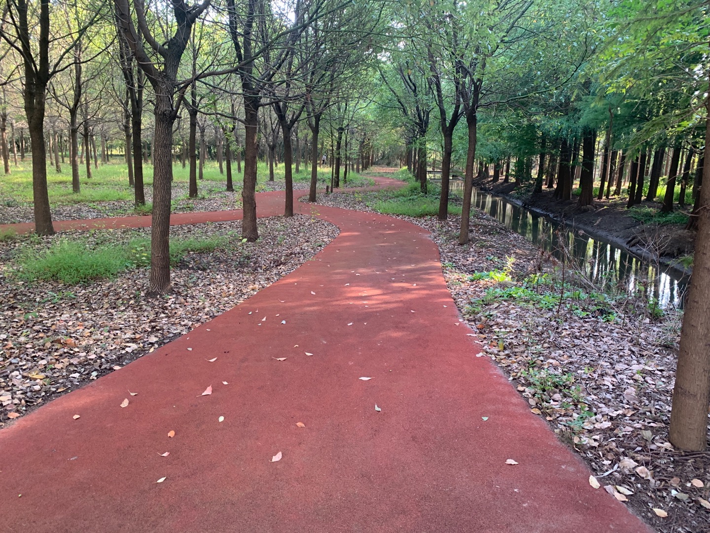 三星鎮(zhèn)海洪港村健身步道