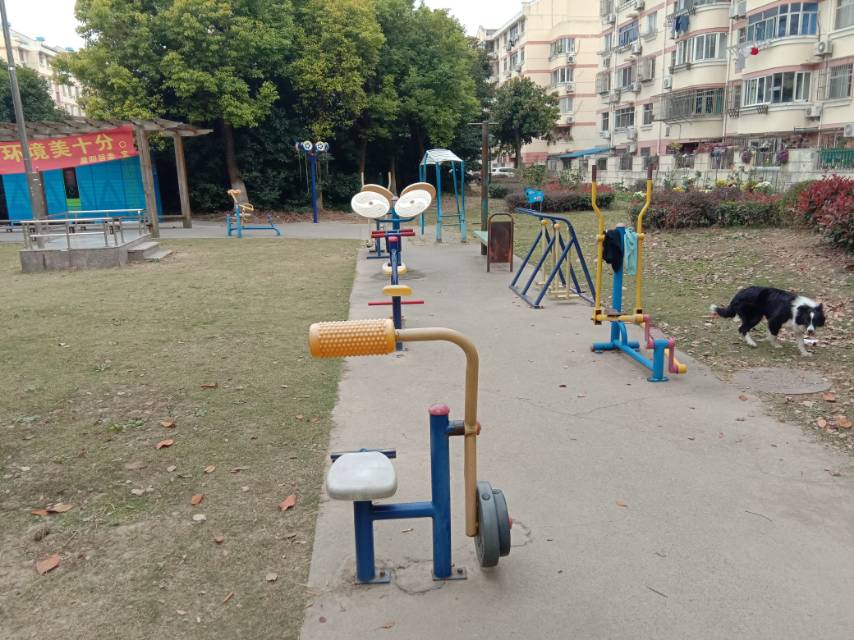 晨陽(yáng)居委晚霞路551弄20號(hào)健身路徑