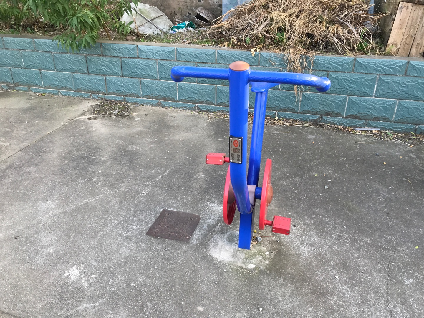 直立自行車(chē)