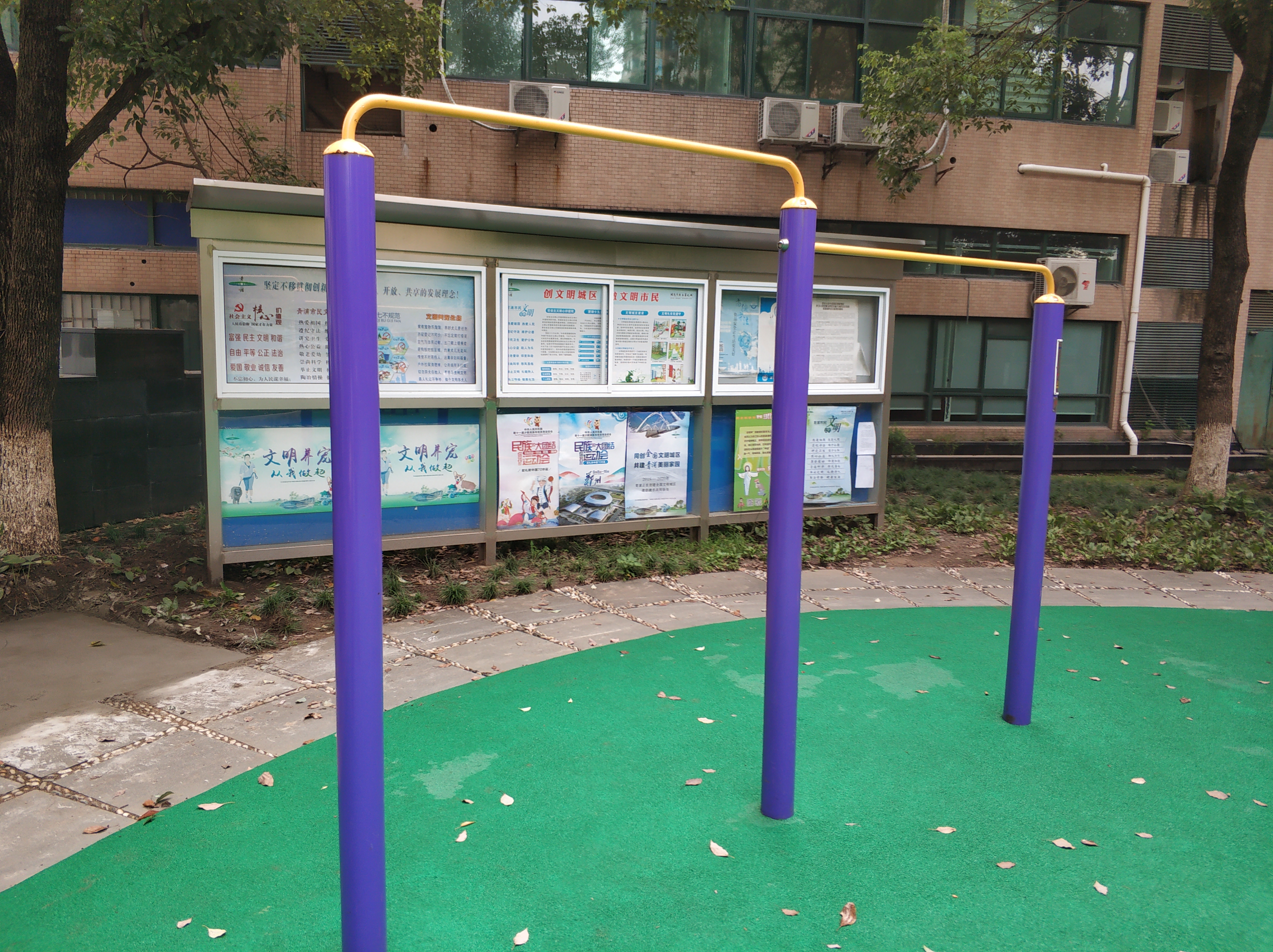 雙立柱背部訓(xùn)練器