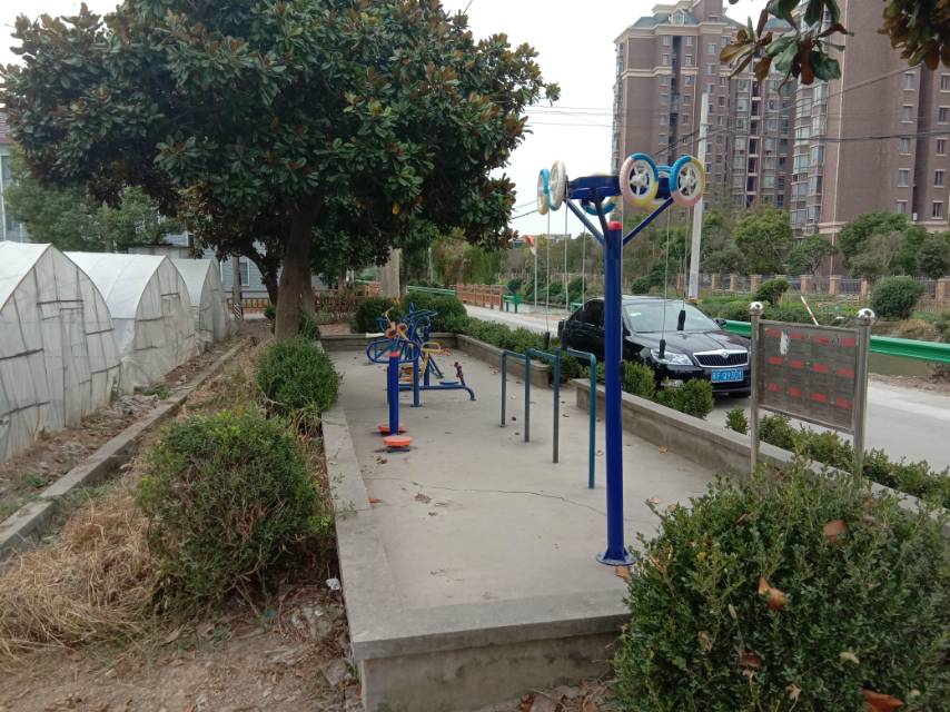 亭東村二組西王家宅10號后健身路徑