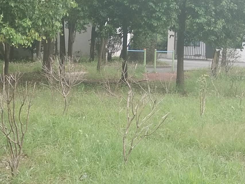 沈家橋村健身點(diǎn)