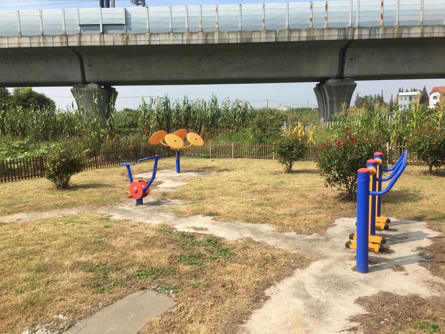 曹家浜新村隊健身點