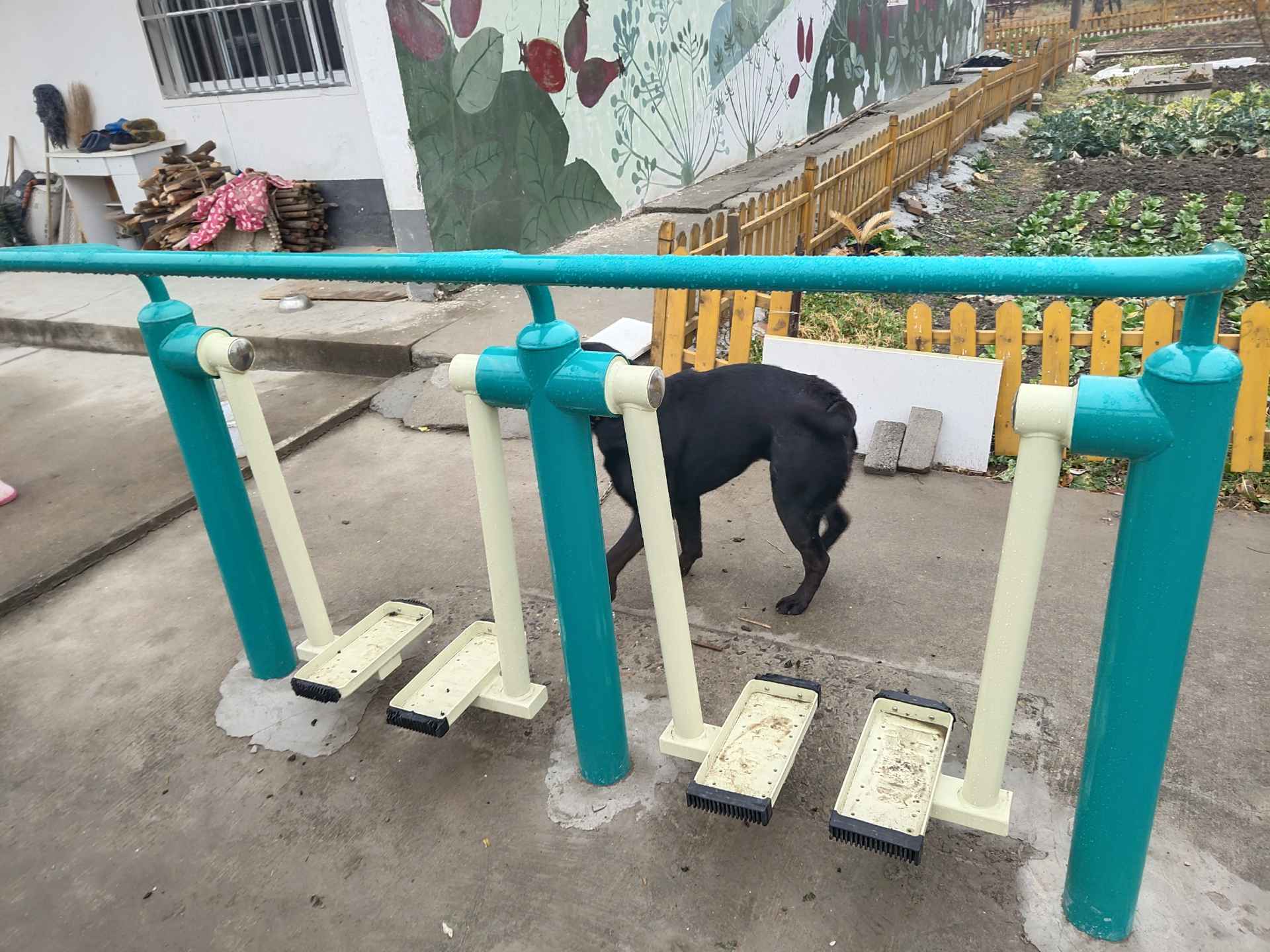 雙人漫步機(jī)