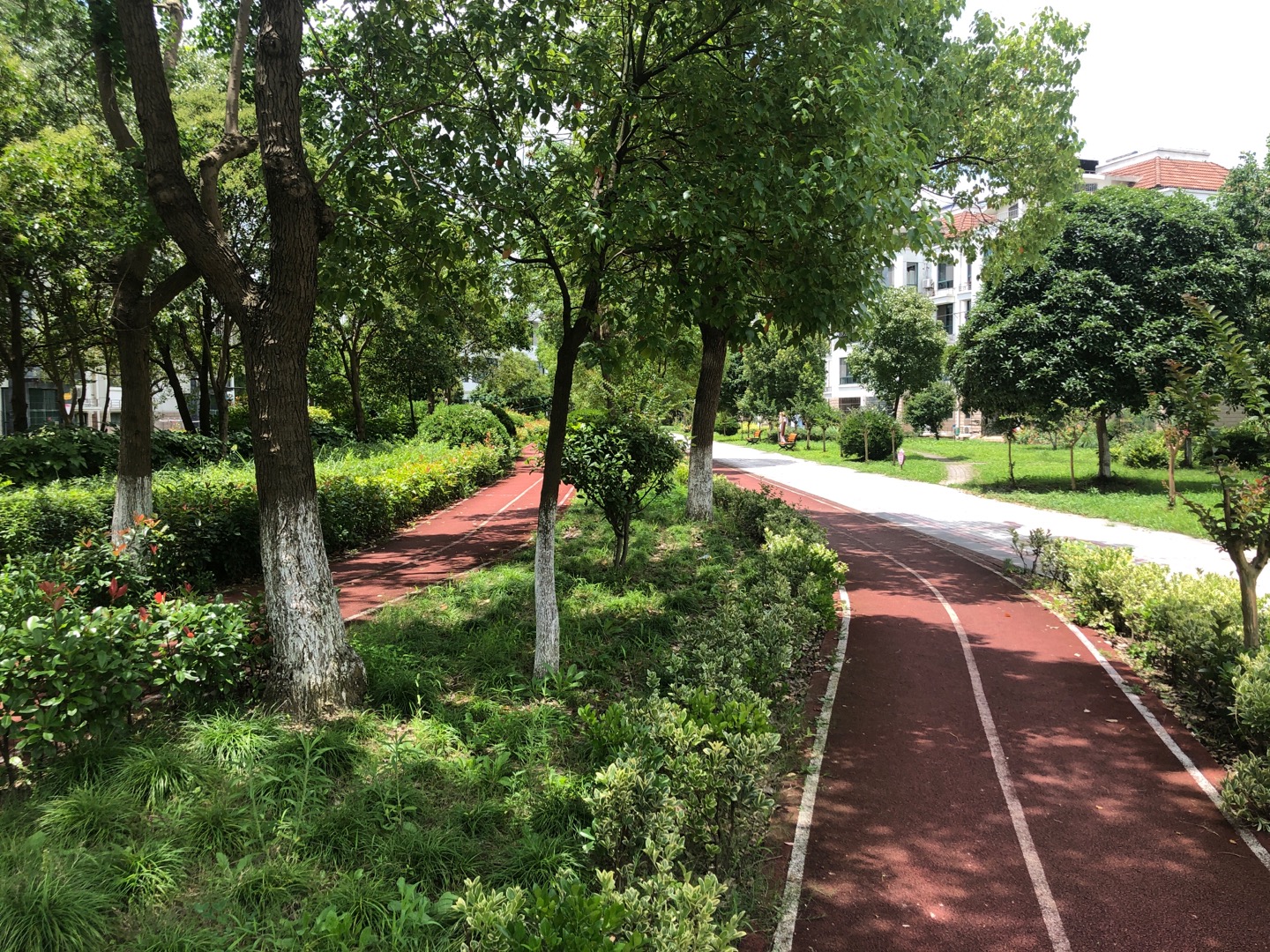 麗水灣健身步道