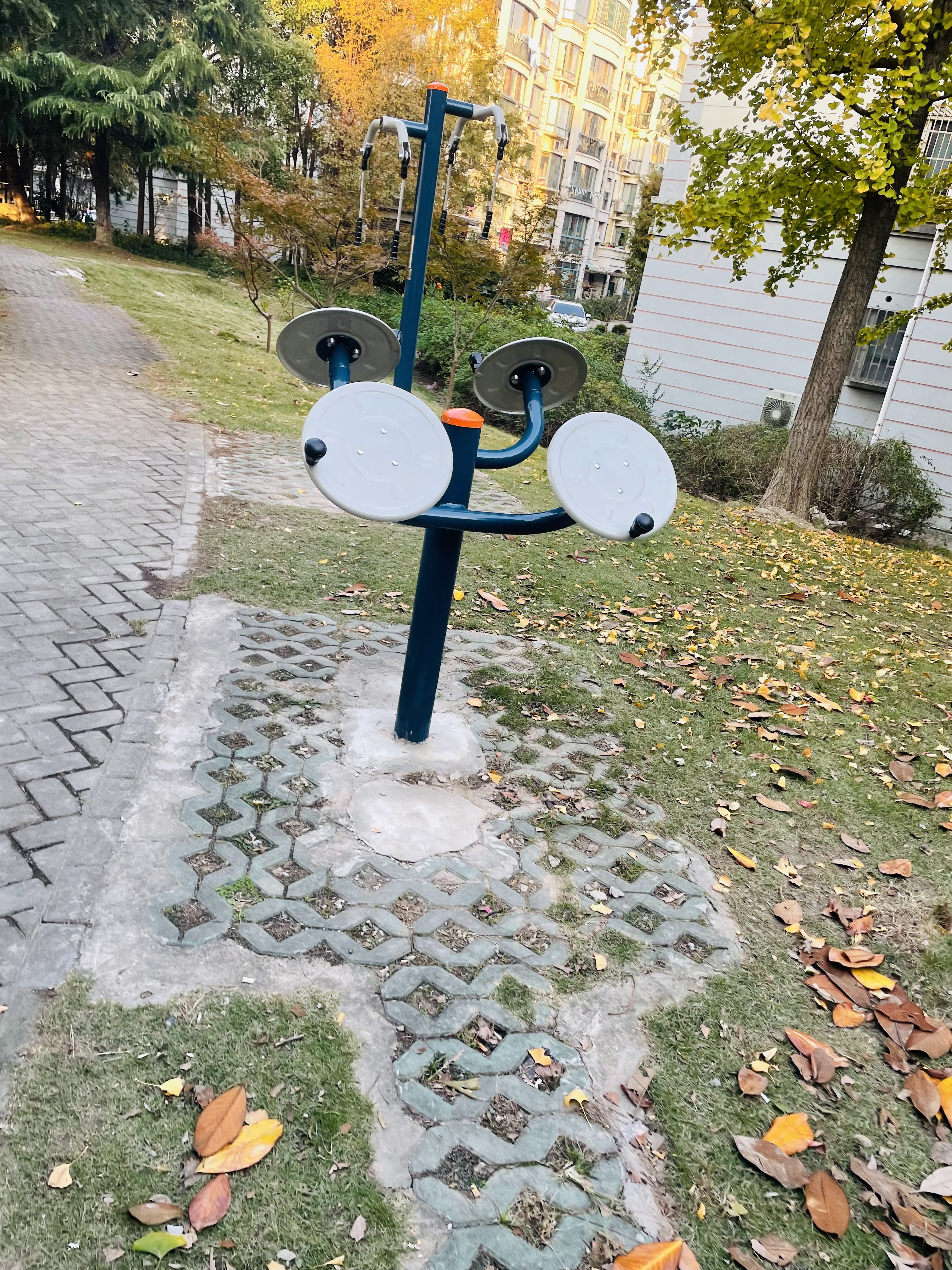 二位太極揉腿輪